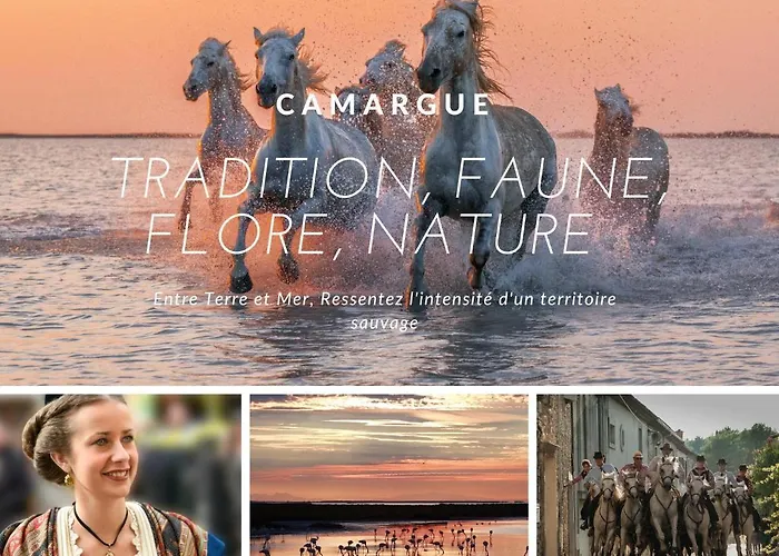 Vasco / Confortable / Lumineux / Parking Prive Lejlighed La Grande-Motte